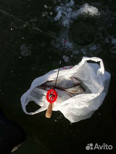 Удочки для безмотыльной ловли