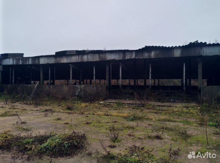 Здание под разбор