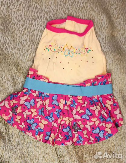 Платье, одежда для маленькой собаки