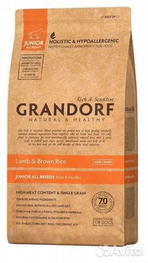 Грандорф юниор