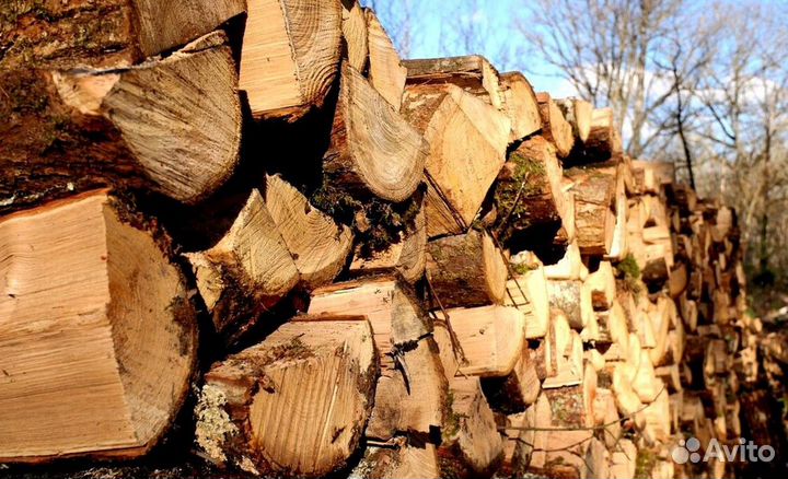 Дрова ольха от производителя