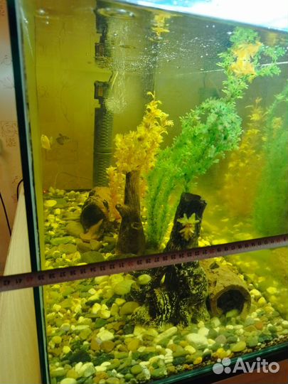Аквариум