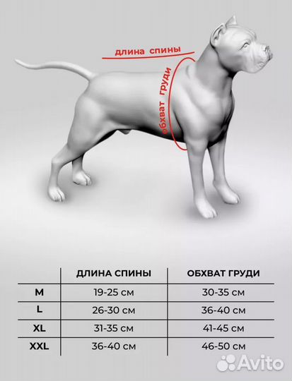 Новый зимний комбинезон для собаки