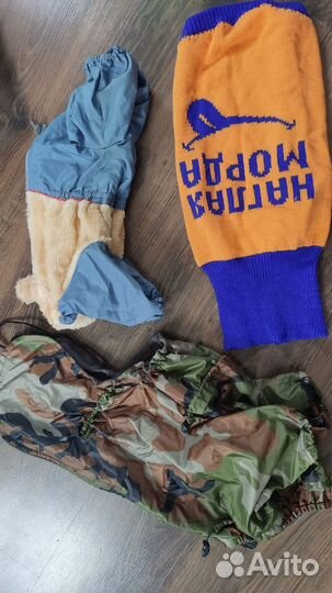 Одежда для собак