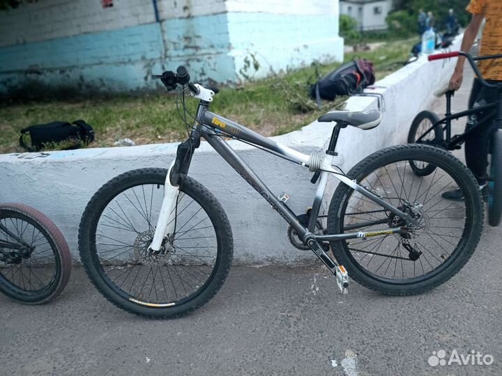 Mongoose fireball 26