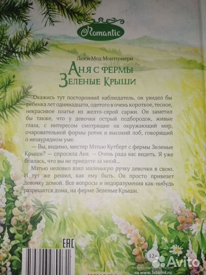 Аня из зелëных Мезонинов