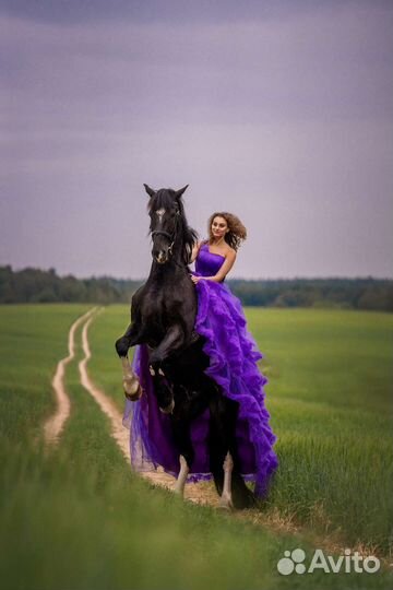 Фототосессия/видеосъёмка с лошадьми