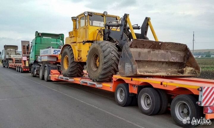 Услуги трал аренда тралл грузоперевозка негабарит