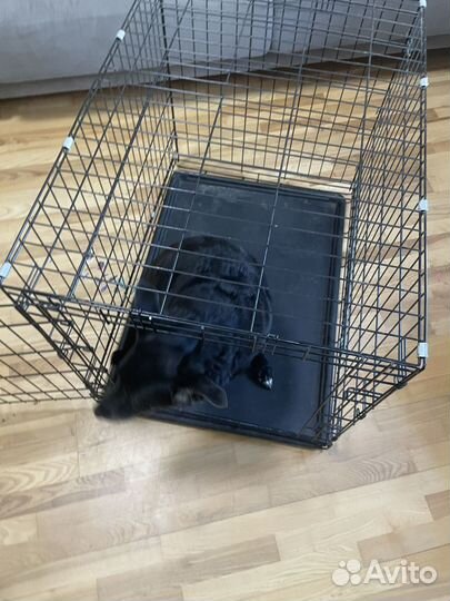 Клетка для собаки бу