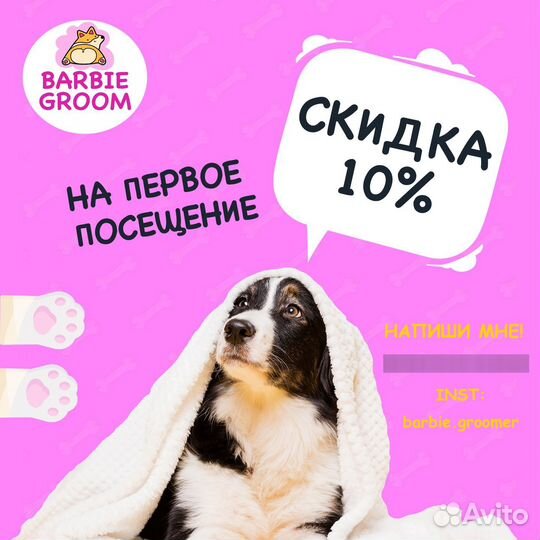 Груминг собак и кошек. Стрижки, экспресс-линька