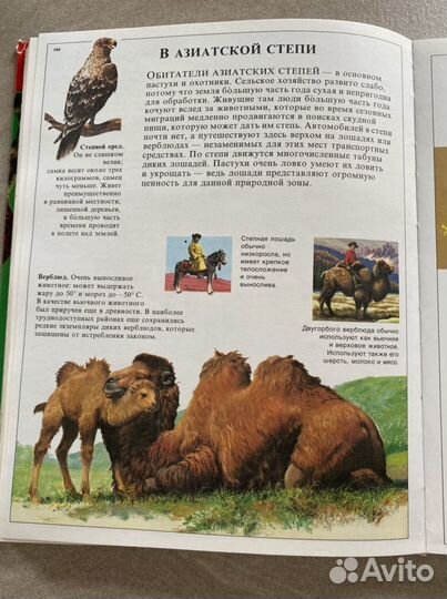 Энциклопедия для детей