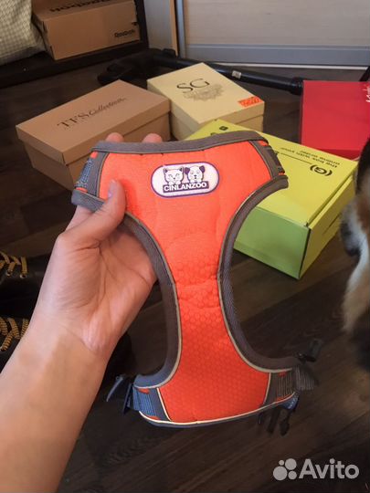 Шлейка для собак средней породы