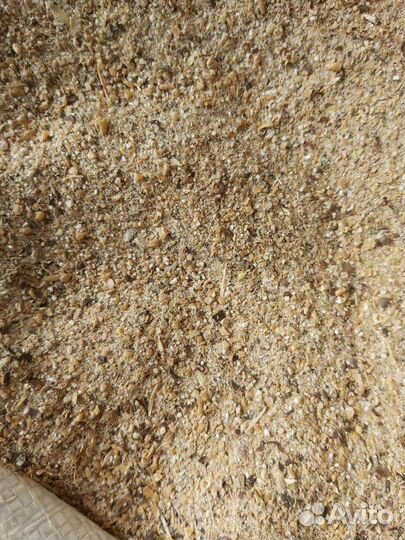 Ячмень, пшеница, гречка смеси