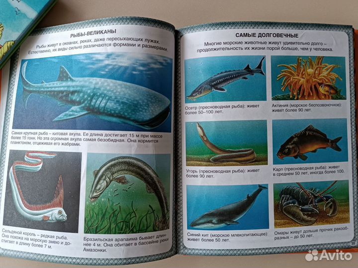 Книга «Тайны моря»