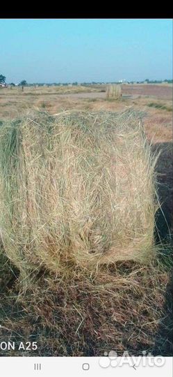 Сено разнотравье в рулонах