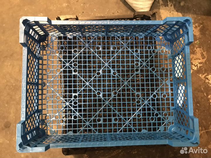 Ящики для бутылок, грибные, колбасные прием ящиков