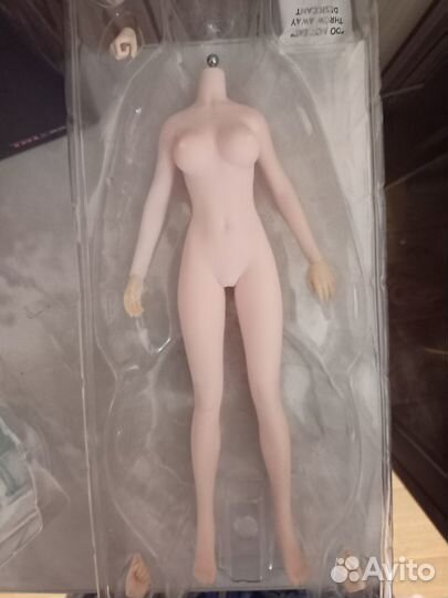 Бесшовное тело tbleague s34a для фигурки 1/6