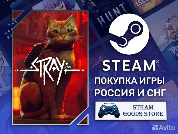 Stray (Steam)