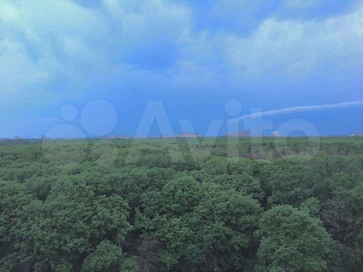 4-к. квартира, 65 м², 9/9 эт.