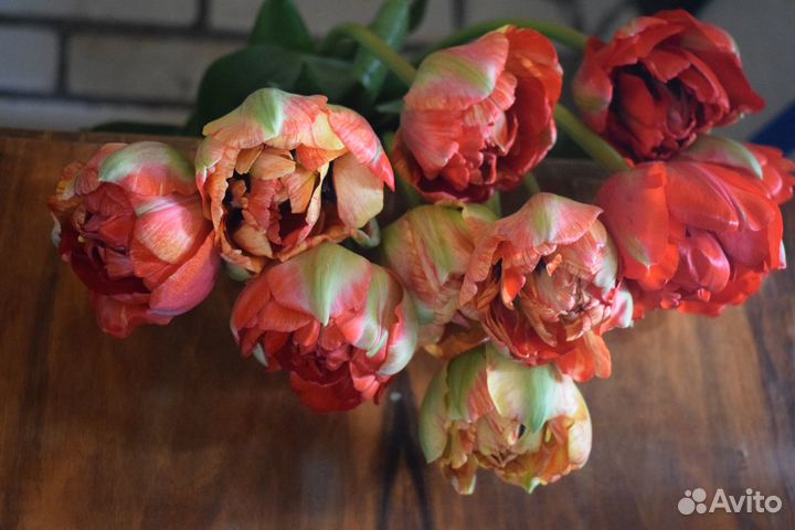 Свежая срезка цветы