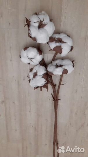 Хлопок декоративный