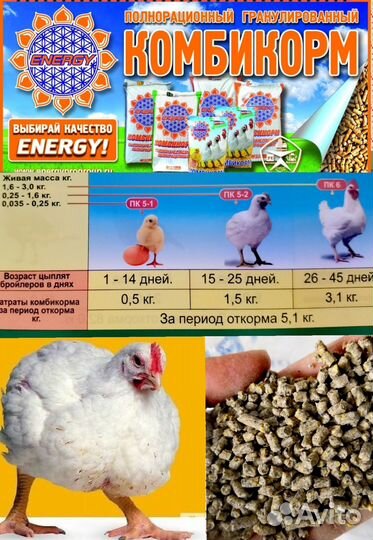 Старт Рост Финиш