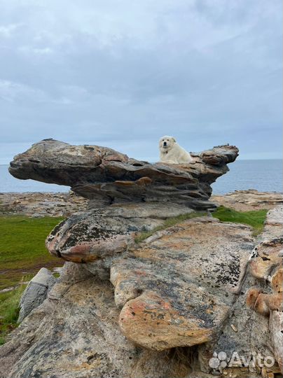 Рыбачий и Средний