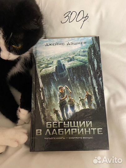 Бегущий в лабиринте книги