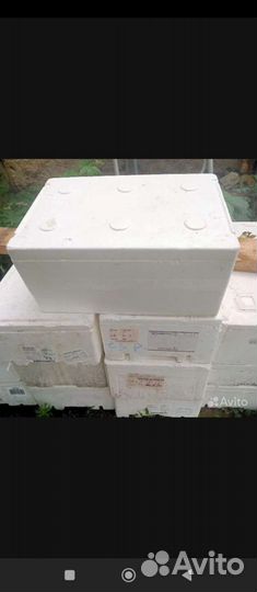 Термоконтейнер