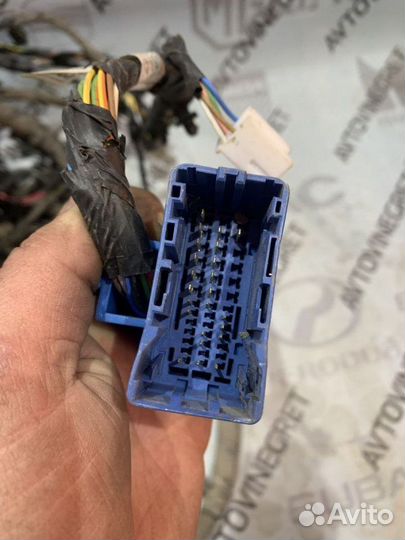 Коса моторная(проводка) Kia Ceed 1 ED