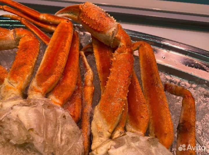 Клешни краба стригуна. Опт