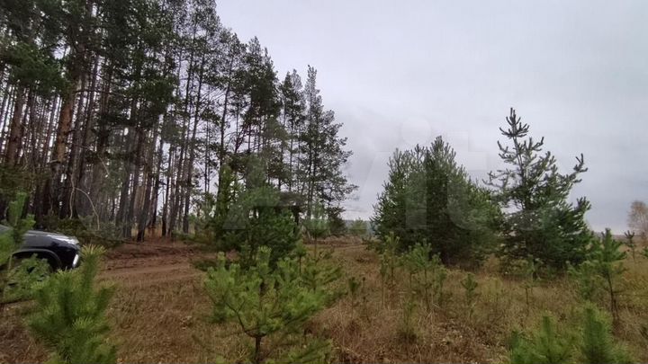 Участок 10 сот. (ИЖС)