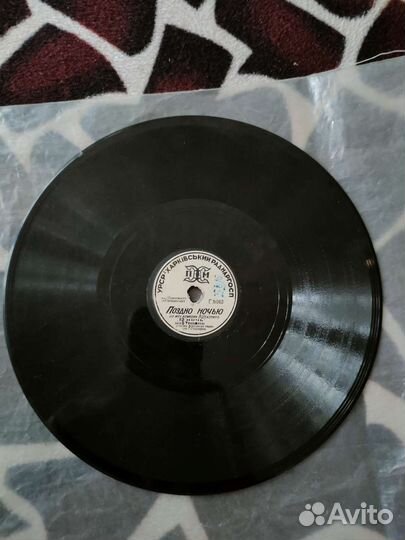 Высоцкий, Трошин