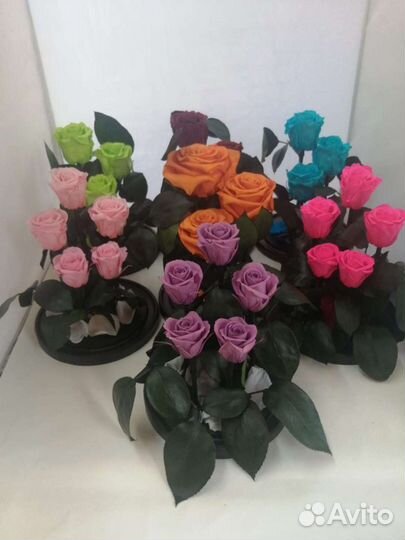 Стабилизированная роза в колбе оптом и в розницу