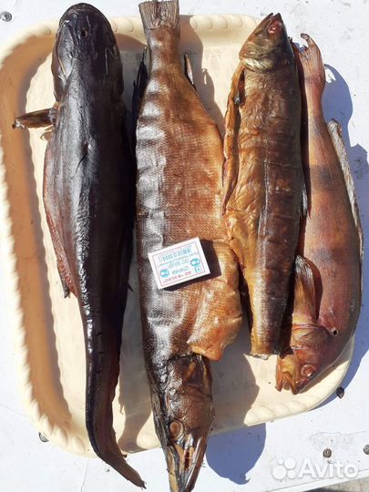 Купить Копченую рыбу
