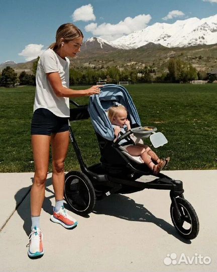Премиум- Коляска прогулочная Orbit baby O2.сша