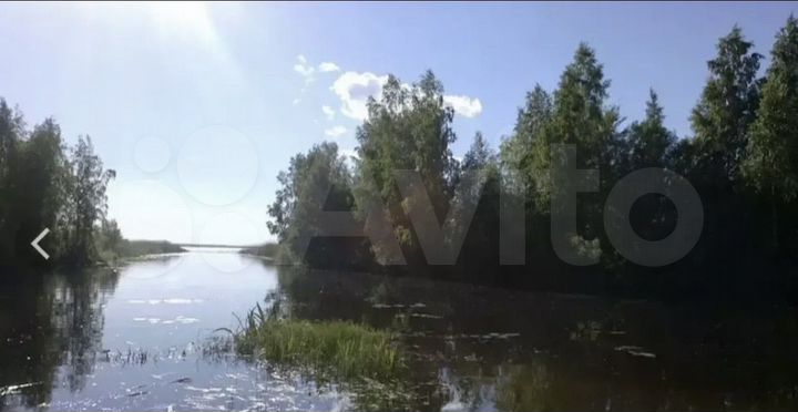 Участок 3,2 га (ИЖС)