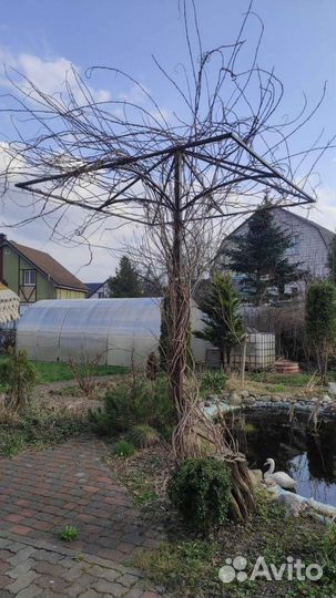 Опора для вьющихся растений