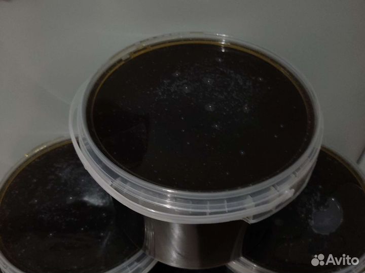 Мëд гречишный, 2023 г