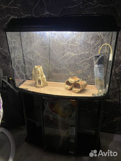 Аквариум с тумбой 100 литров