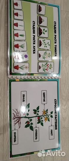 Лэпбук огород