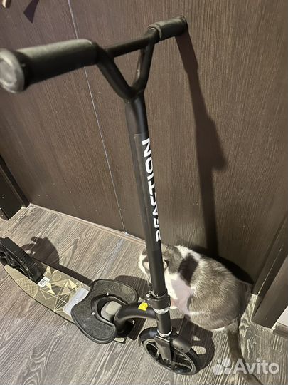 Самокат взрослый reaction 200мм