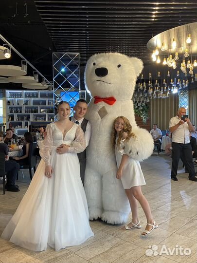 Белый мишка поздравление, Панда поздравление