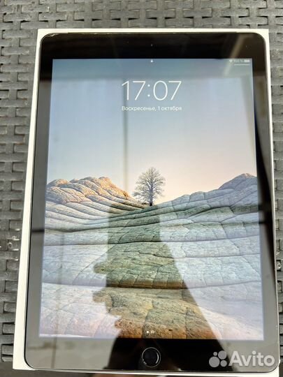 iPad air 2 64gb wifi+cellular