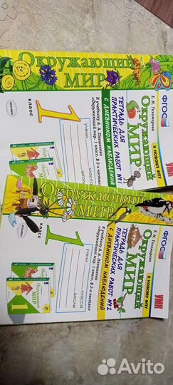 Рабочие тетради 1 класс окружающий мир