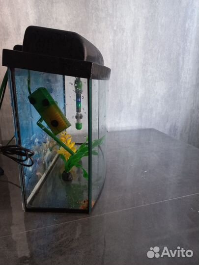 Аквариум