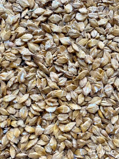 Корм для лошадей и крс