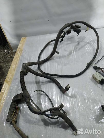 Фишка разъём клемма Ford Escape 1 Maverick Tribute