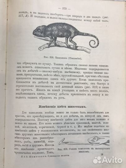 Книга «Руководство по зоологии» 1910 г