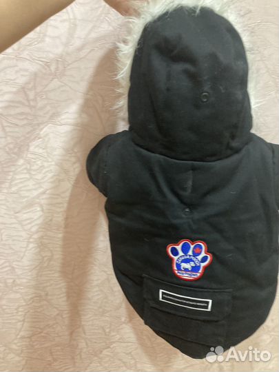 Полукомбинезон для собаки